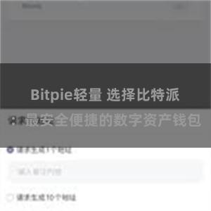 Bitpie轻量 选择比特派：最安全便捷的数字资产钱包