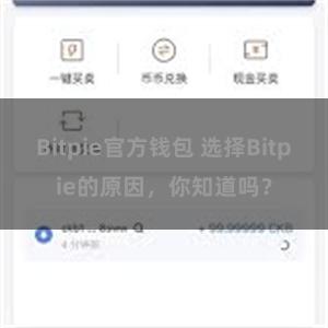 Bitpie官方钱包 选择Bitpie的原因，你知道吗？