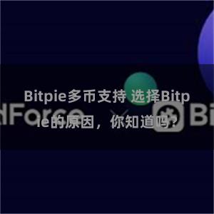 Bitpie多币支持 选择Bitpie的原因，你知道吗？