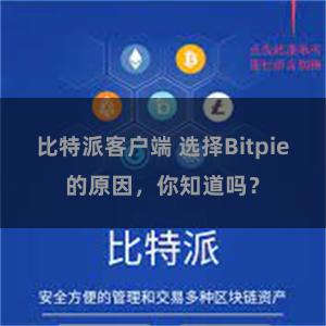 比特派客户端 选择Bitpie的原因，你知道吗？