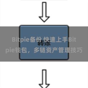 Bitpie备份 快速上手Bitpie钱包，多链资产管理技巧