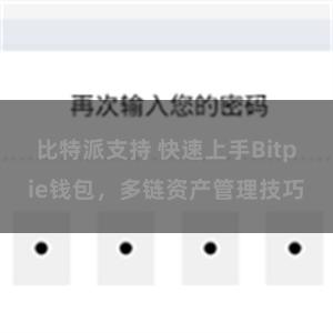 比特派支持 快速上手Bitpie钱包，多链资产管理技巧