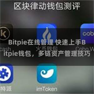 Bitpie在线管理 快速上手Bitpie钱包，多链资产管理技巧