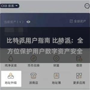 比特派用户指南 比特派：全方位保护用户数字资产安全