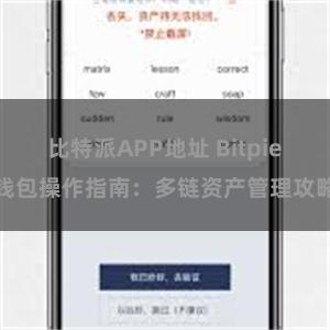 比特派APP地址 Bitpie钱包操作指南：多链资产管理攻略