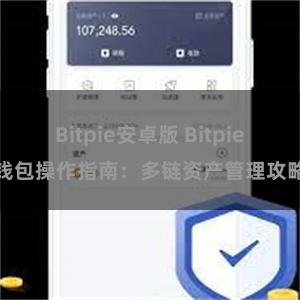 Bitpie安卓版 Bitpie钱包操作指南：多链资产管理攻略