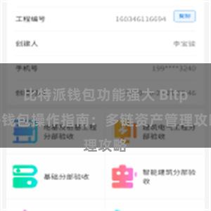 比特派钱包功能强大 Bitpie钱包操作指南：多链资产管理攻略