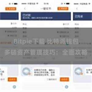 Bitpie下载 比特派钱包多链资产管理技巧：全面攻略