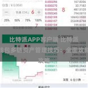 比特派APP客户端 比特派钱包多链资产管理技巧：全面攻略