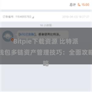 Bitpie下载资源 比特派钱包多链资产管理技巧：全面攻略