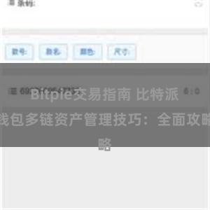 Bitpie交易指南 比特派钱包多链资产管理技巧：全面攻略