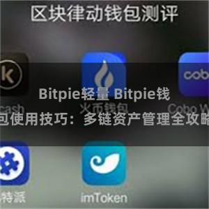 Bitpie轻量 Bitpie钱包使用技巧：多链资产管理全攻略