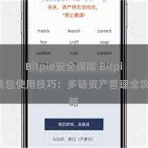 Bitpie安全保障 Bitpie钱包使用技巧：多链资产管理全攻略