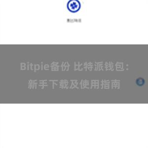 Bitpie备份 比特派钱包：新手下载及使用指南