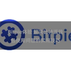 Bitpie体验 解决比特派钱包使用问题的实用技巧