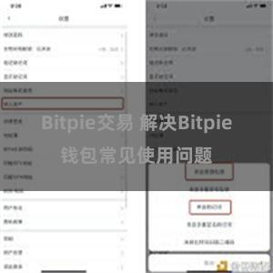 Bitpie交易 解决Bitpie钱包常见使用问题