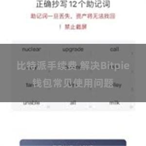 比特派手续费 解决Bitpie钱包常见使用问题