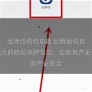 比特派钱包功能 比特派钱包：强大的隐私保护功能，让您资产更安全