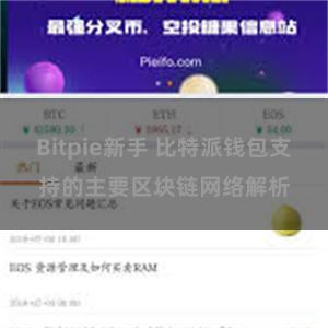 Bitpie新手 比特派钱包支持的主要区块链网络解析