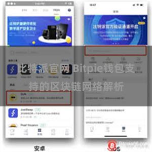 比特派官网 Bitpie钱包支持的区块链网络解析