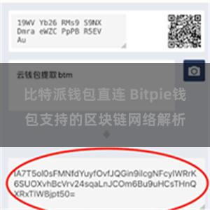 比特派钱包直连 Bitpie钱包支持的区块链网络解析