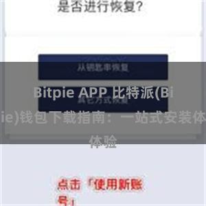 Bitpie APP 比特派(Bitpie)钱包下载指南：一站式安装体验