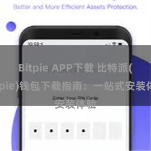 Bitpie APP下载 比特派(Bitpie)钱包下载指南：一站式安装体验