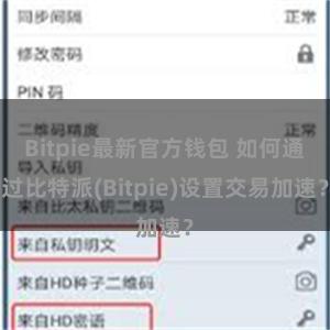 Bitpie最新官方钱包 如何通过比特派(Bitpie)设置交易加速？