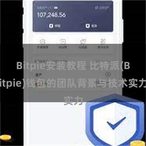 Bitpie安装教程 比特派(Bitpie)钱包的团队背景与技术实力