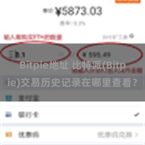 Bitpie地址 比特派(Bitpie)交易历史记录在哪里查看？