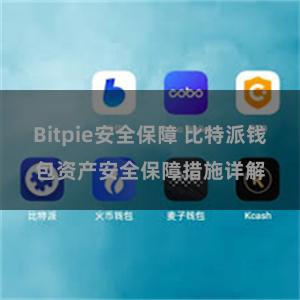 Bitpie安全保障 比特派钱包资产安全保障措施详解