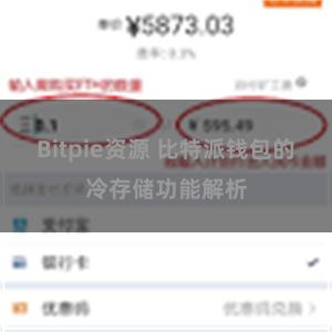 Bitpie资源 比特派钱包的冷存储功能解析