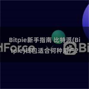 Bitpie新手指南 比特派(Bitpie)钱包适合何种用户？