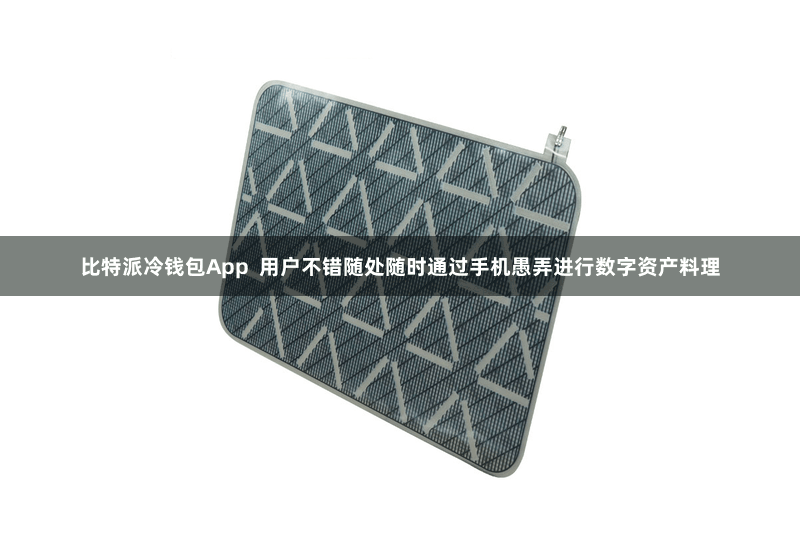比特派冷钱包App  用户不错随处随时通过手机愚弄进行数字资产料理