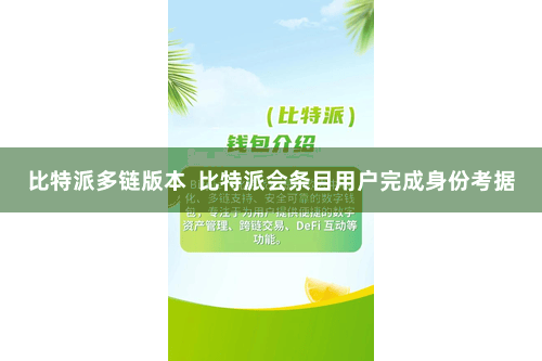 比特派多链版本  比特派会条目用户完成身份考据